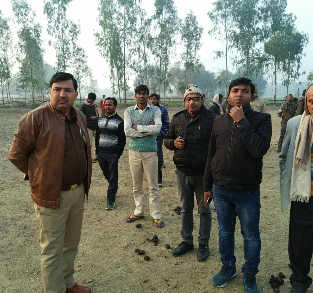 death of cows in gaushala