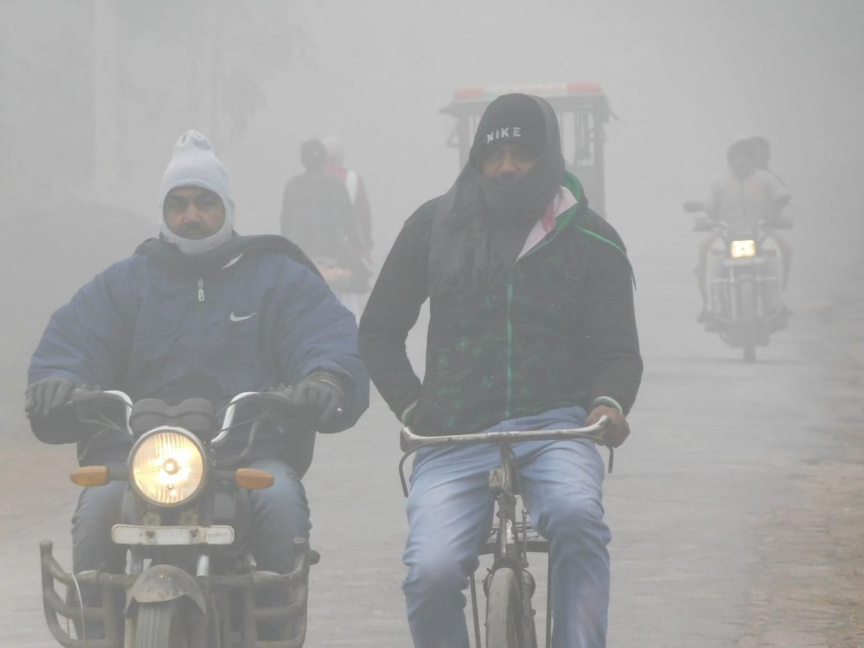 Problem due to Fog and Cold Wave