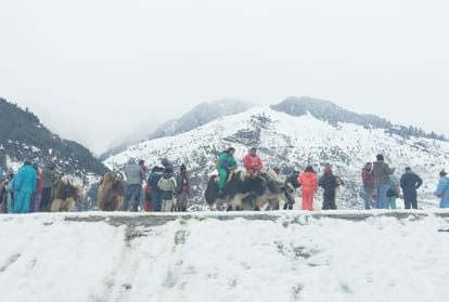 tourist stranded for hours after Landslides on the Chandigarh Manali nh, avalanche in Lahaul