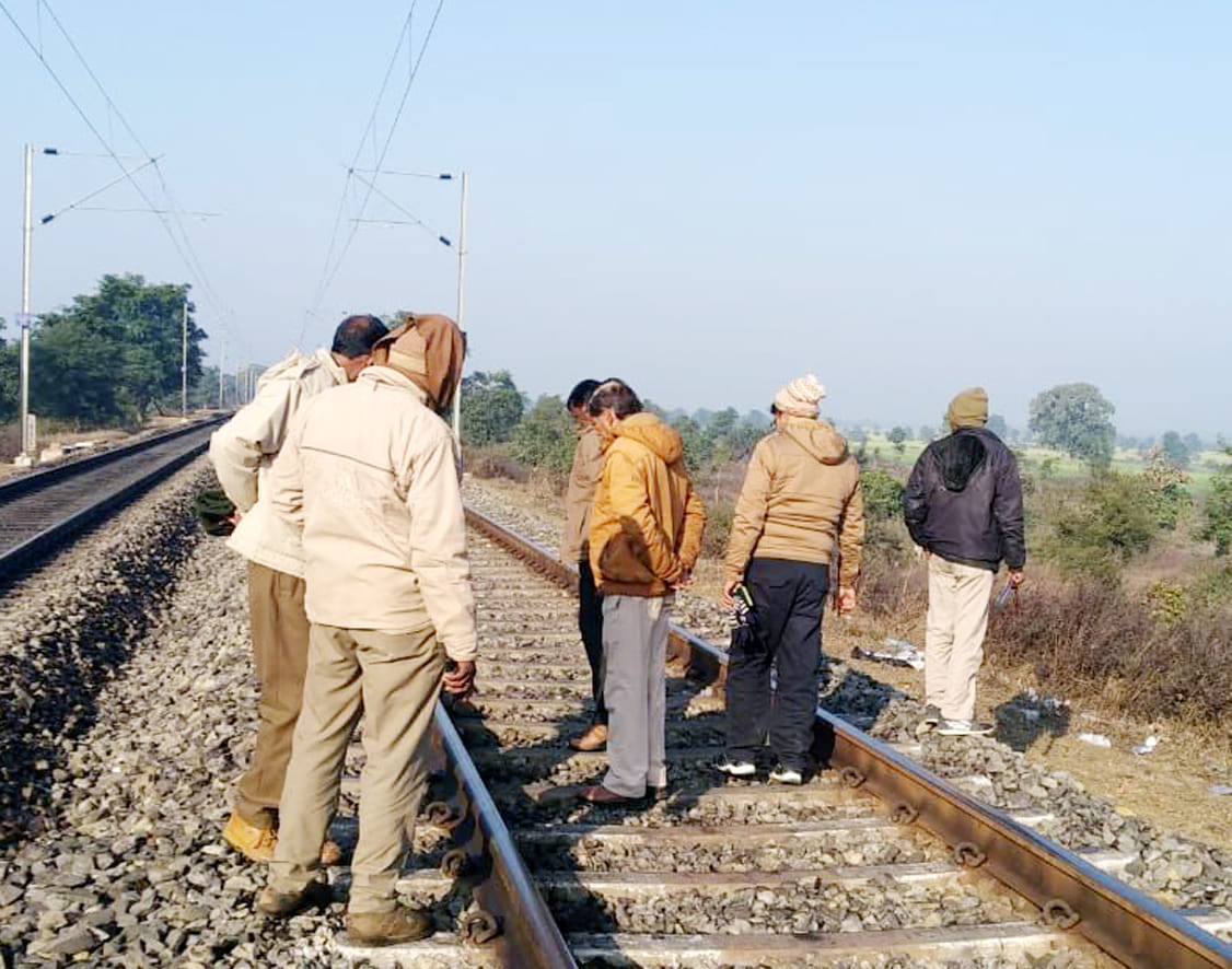 Chitrakoot: wild cat killed by train
