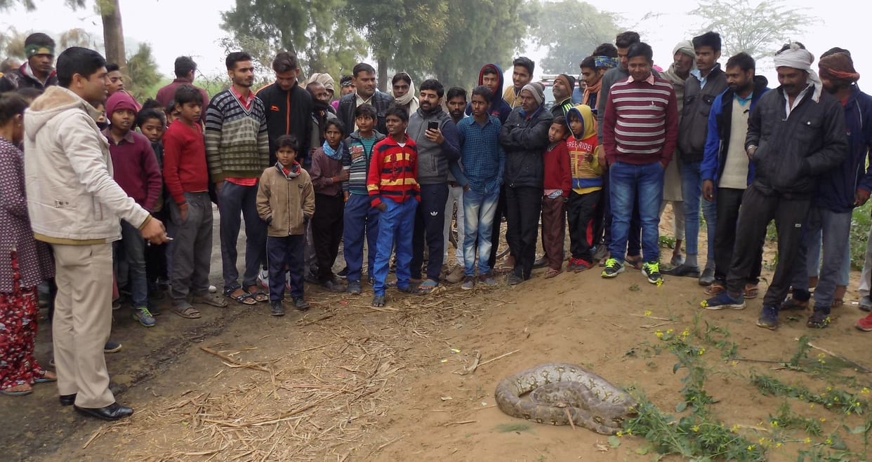 Hathras: A crowd on the spot seeing the dragon