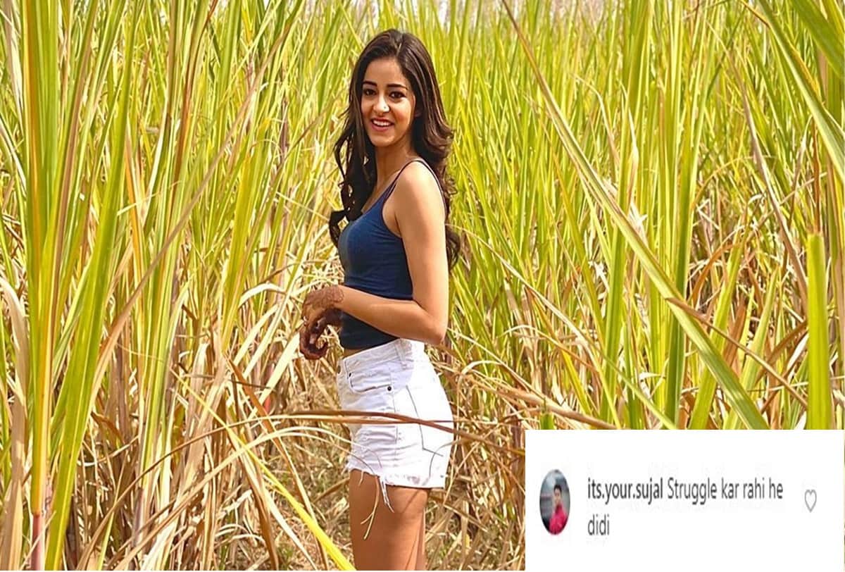 Ananya Panday Gets Trolled for Sharing her Sugarcane Farm Photos on Instagram