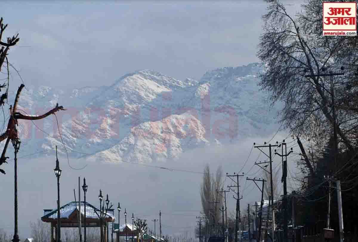 Jammu and Kashmir: Army rescues 30 civilians trapped in avalanche in Tangdhar sector
