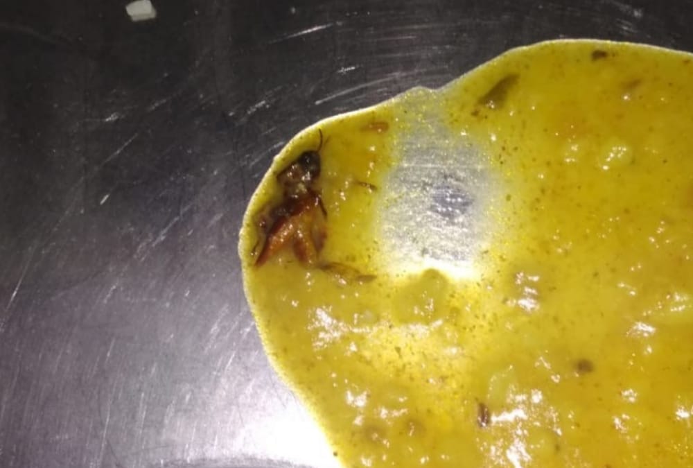 worm found in food of mess of lucknow university
