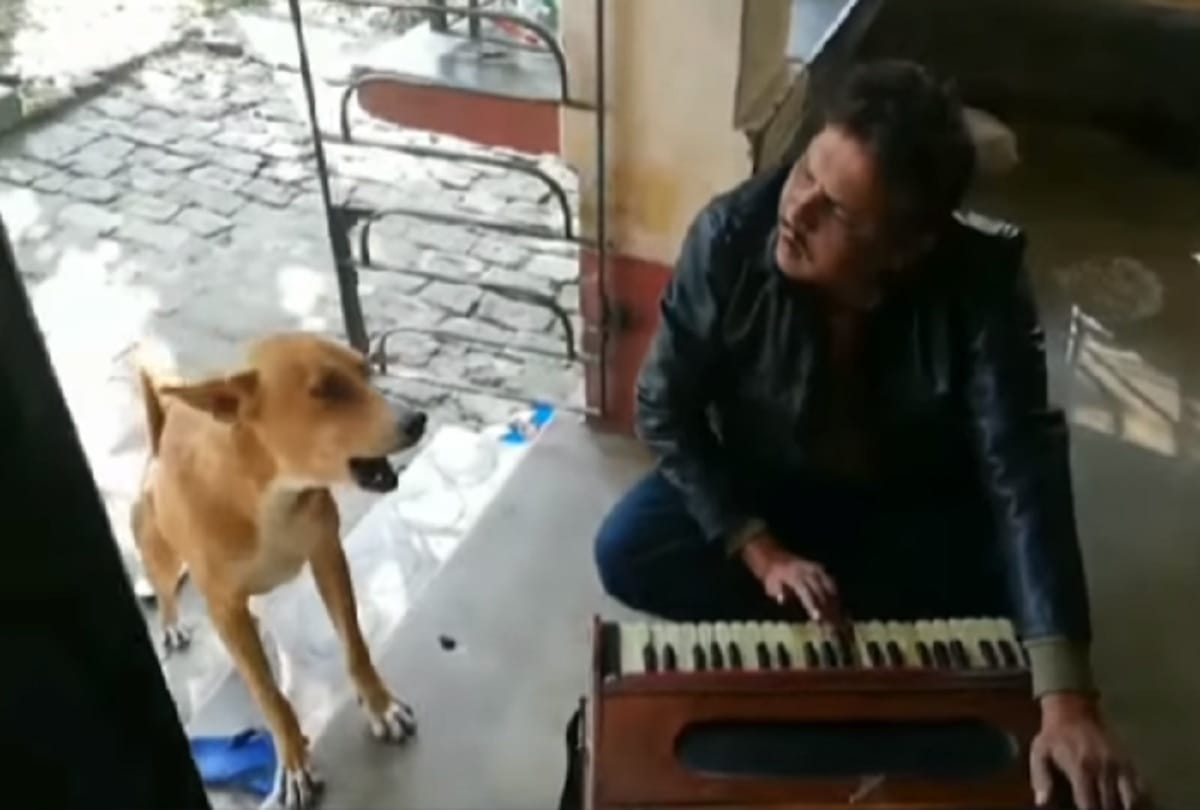 Viral videos dog sings ranu mondal song teri meri kahaani with a man