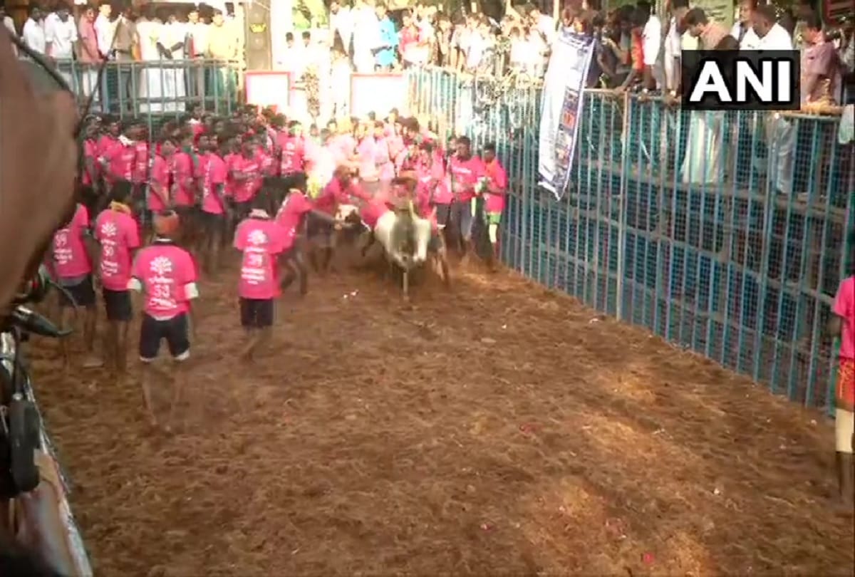 Tamil Nadu Jallikattu event begins at Avaniyapuram in Madurai