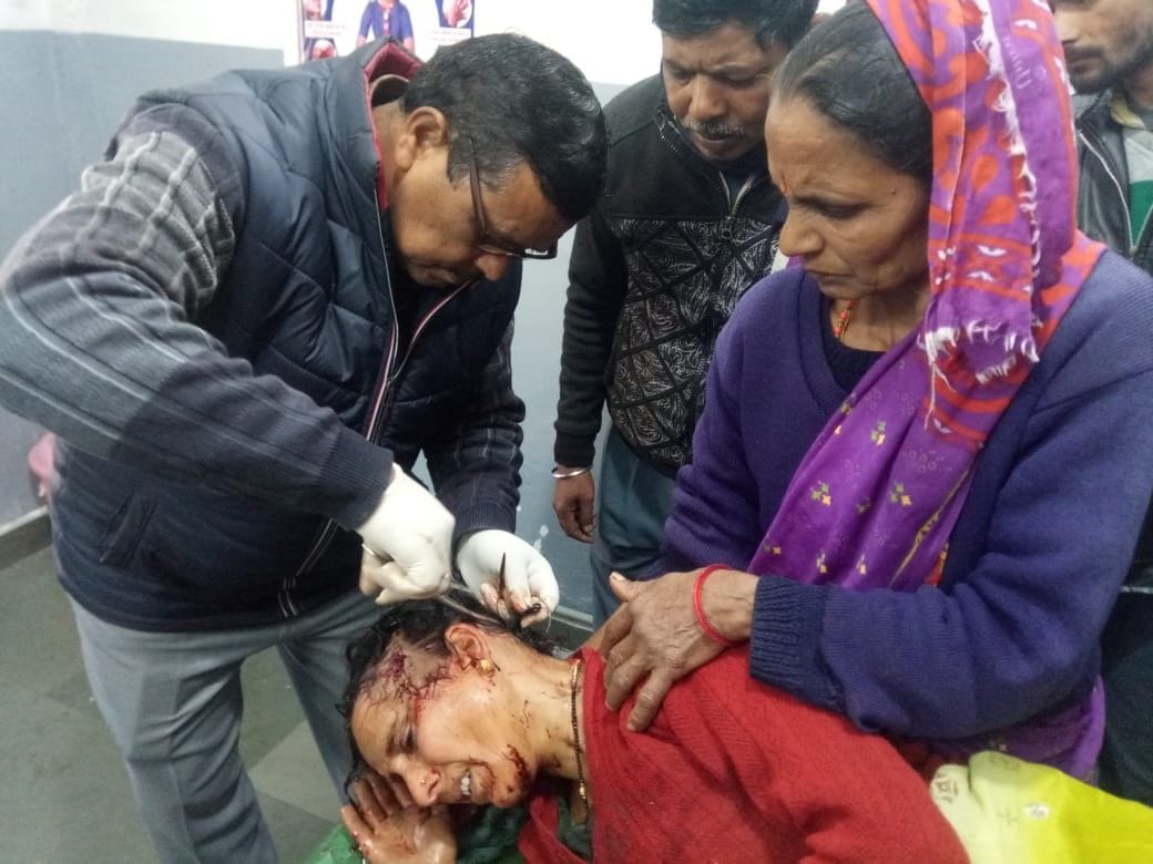 Mother-in-law's life saved due to daughter-in-law's noise, tiger escaped