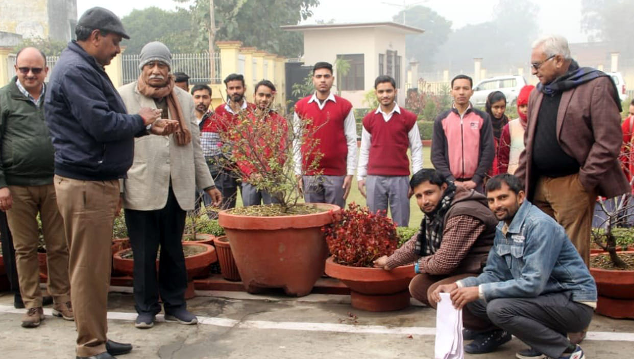 Visit plants on wedding, birthday: Yadav