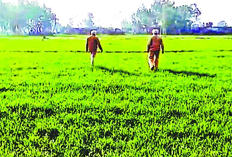Indo Pak Border Near Villagers told Qualities of Pakistani Drone