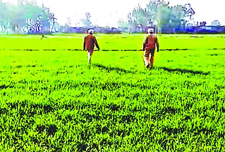 Indo Pak Border Near Villagers told Qualities of Pakistani Drone