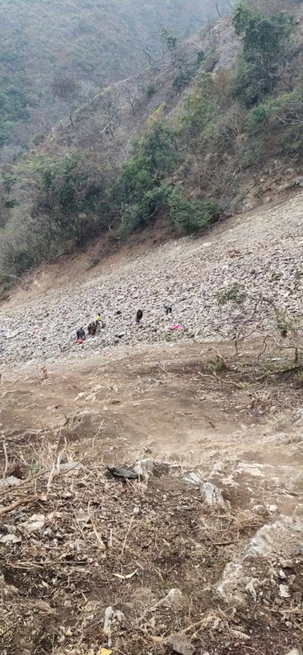Tragic accident on Devprayag-Rishikesh road, five died