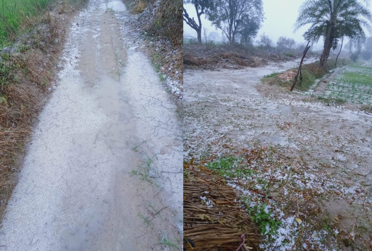 Heavy rain and hail storm in delhi ncr and UP mercury likely to dip more