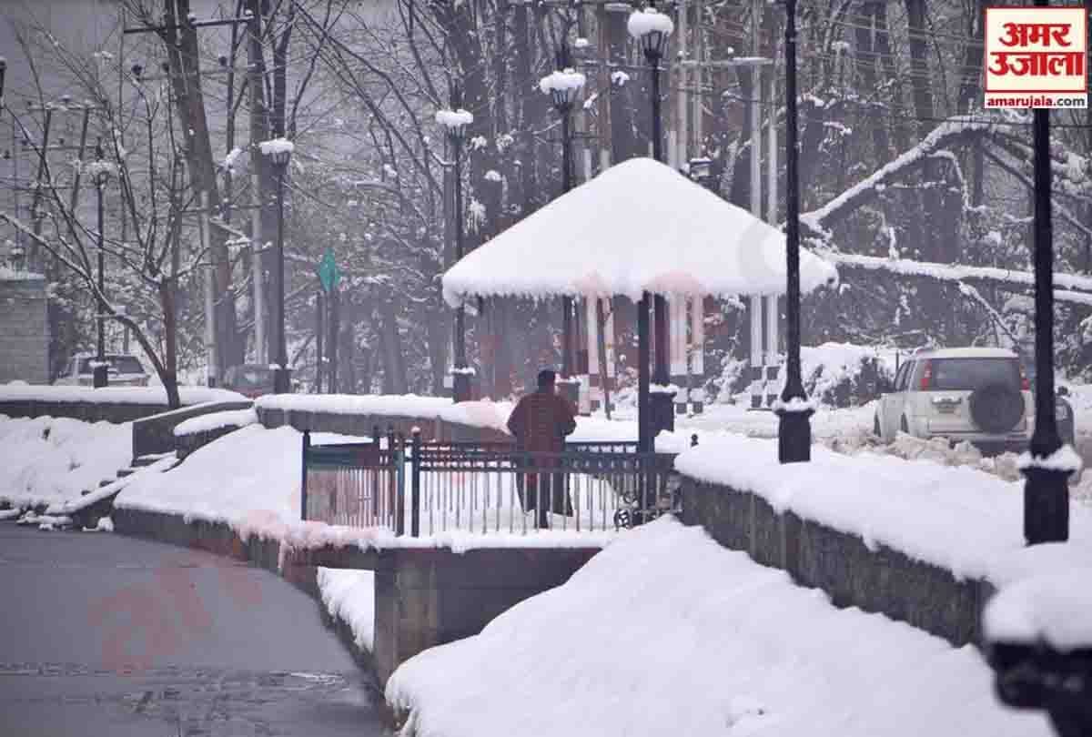 snowfall in srinagar jammu kashmir,  jammu kashmir weather