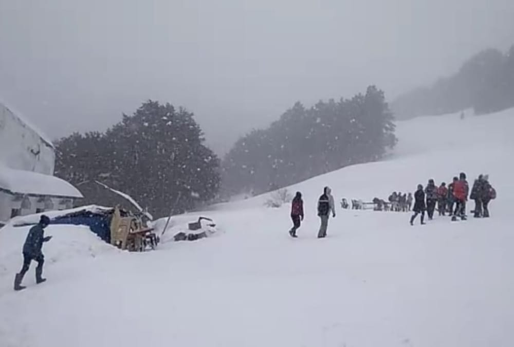 Fresh Snowfall in Auli and Uttarakhand Hilly Area Tourist Enjoy See Visuals