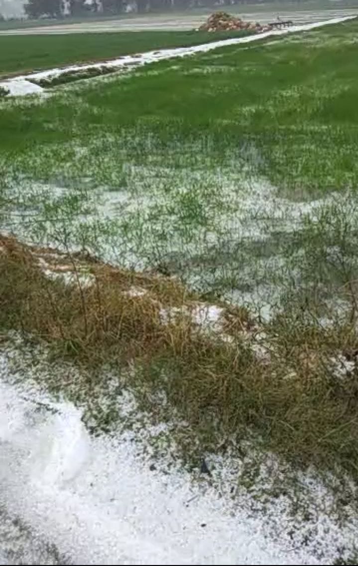 heavy hail in gohana city, snow cover lying like mountains