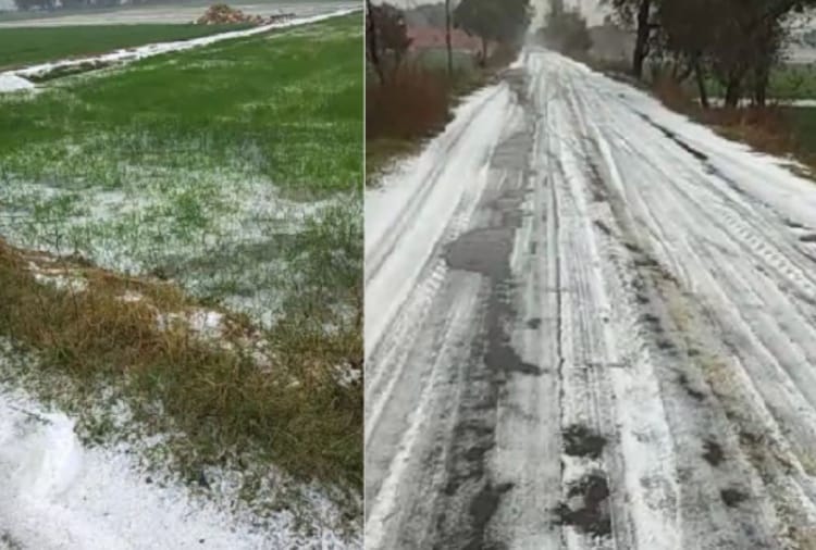 Temperature falls in Haryana due to cold wave and rain