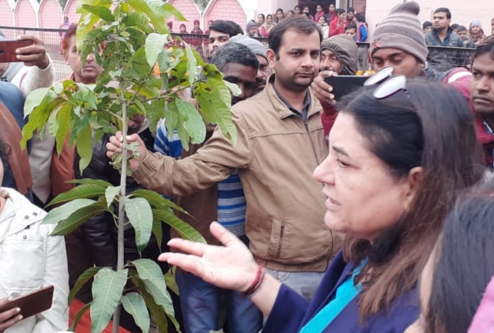 Menka Gandhi two days visits of Sultanpur.