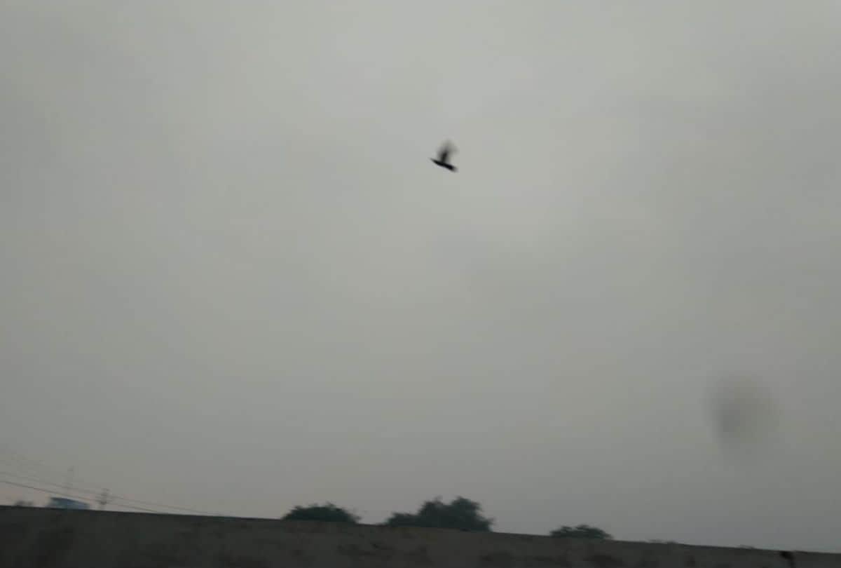 alert on weather heavy rain in agra division