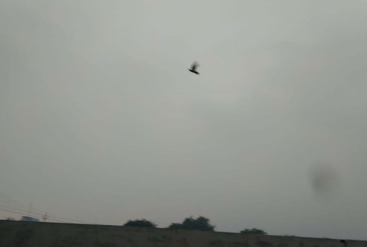 weather update: maximum temperature go down in lucknow