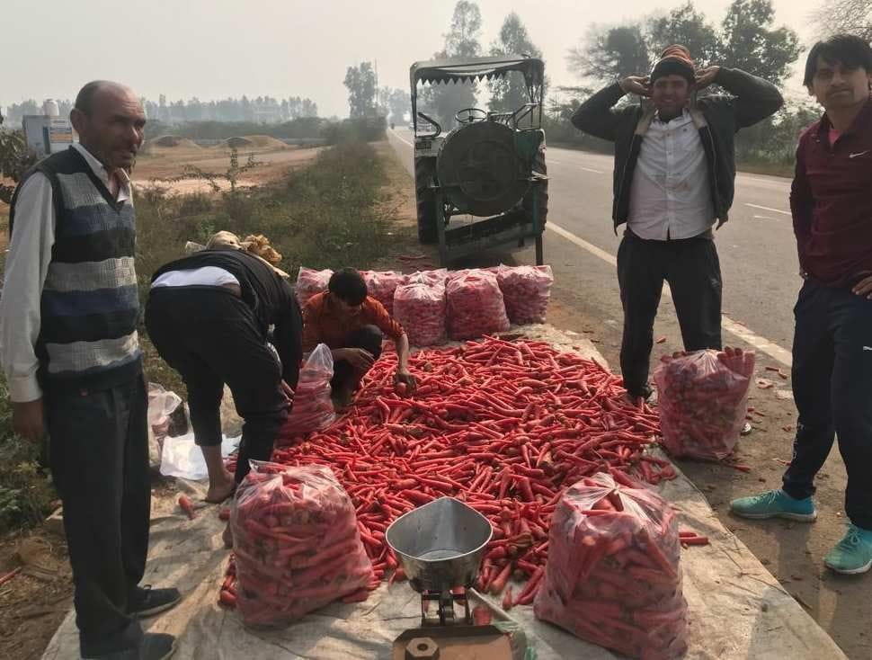 vegetables high rate