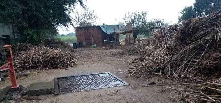 crops destory due to heavy rain, suger mill also affacted