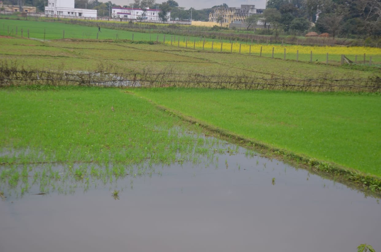 Rain has made it difficult, people shiver with cold air
