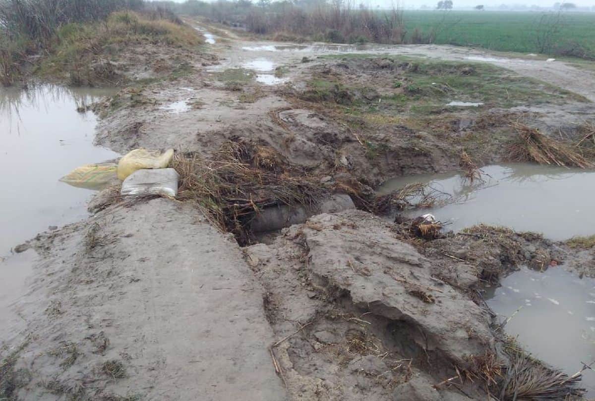 three thousand bigha crops submerged in mainpuri