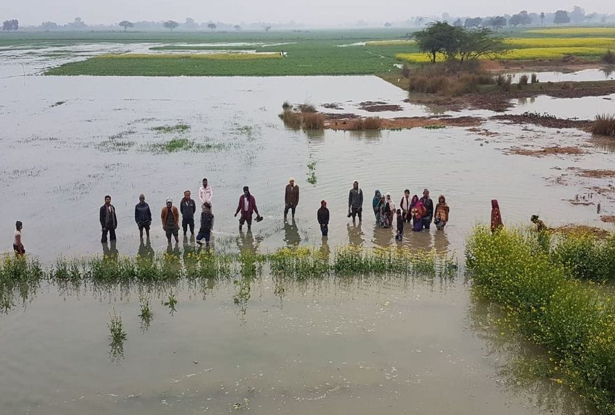three thousand bigha crops submerged in mainpuri
