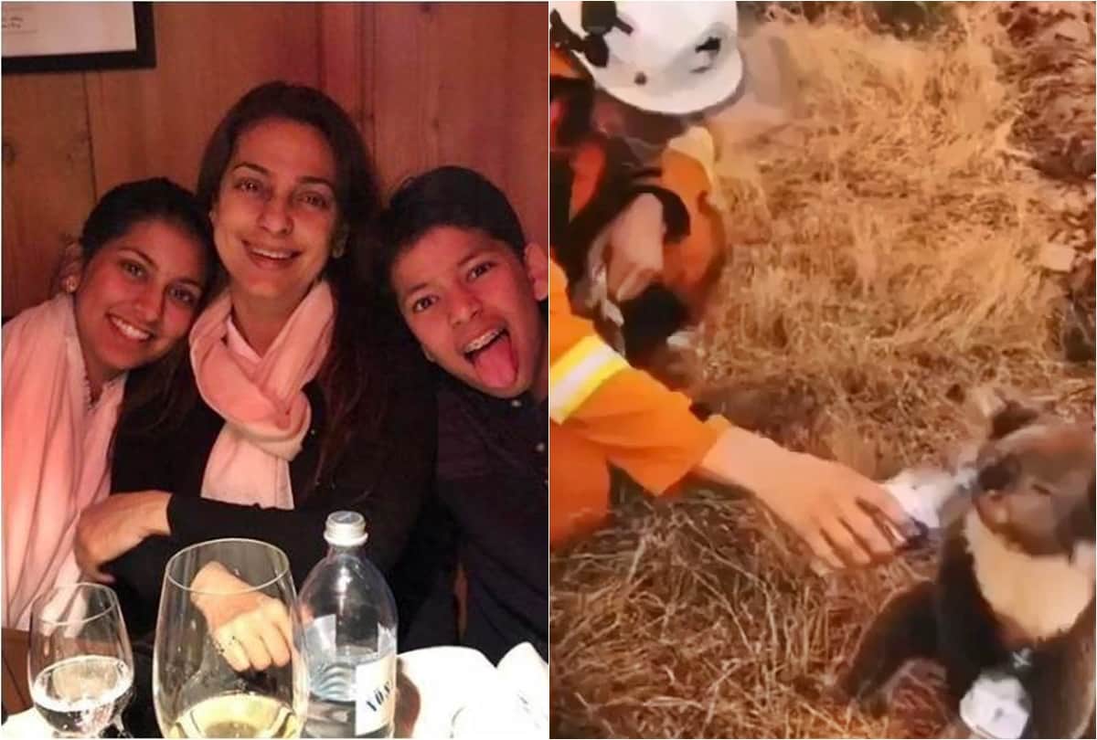 Bollywood Actress Juhi Chawla son donates Rs 28000 to Australian bushfire relief from pocket money