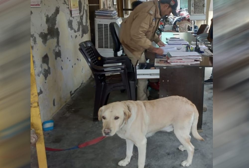 Dog In police Custody and spend whole night in Kotwali kashipur