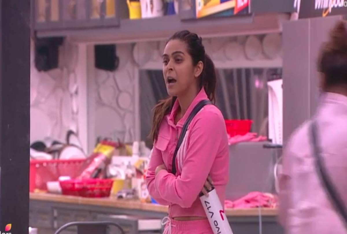 Bigg Boss 13 Vishal Aditya Singh missing Madhurima Tuli says  I Am Deeply In Love With Her