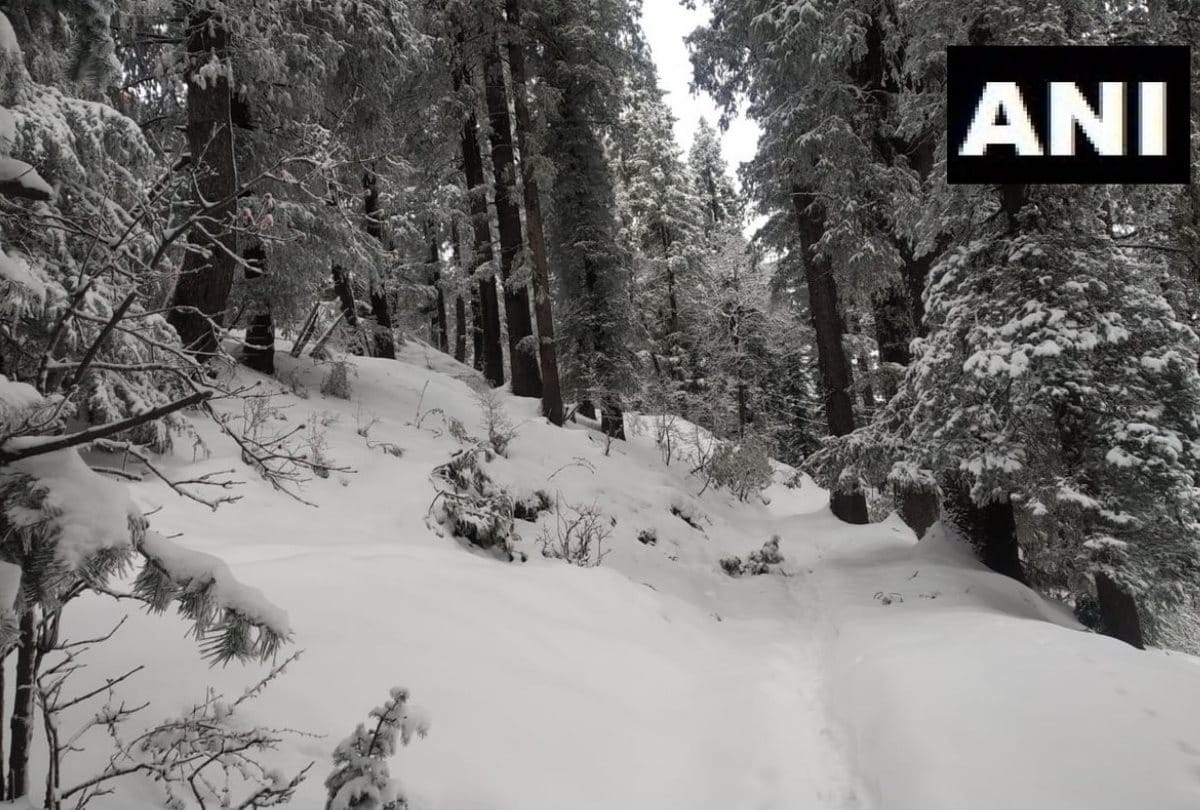 Fresh snowfall in Narkanda in Shimla in Himachal Pradesh