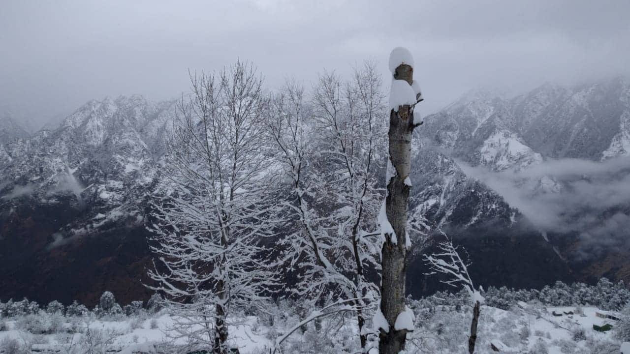 uttarakhand weather today: beautiful photos of snowfall in auli