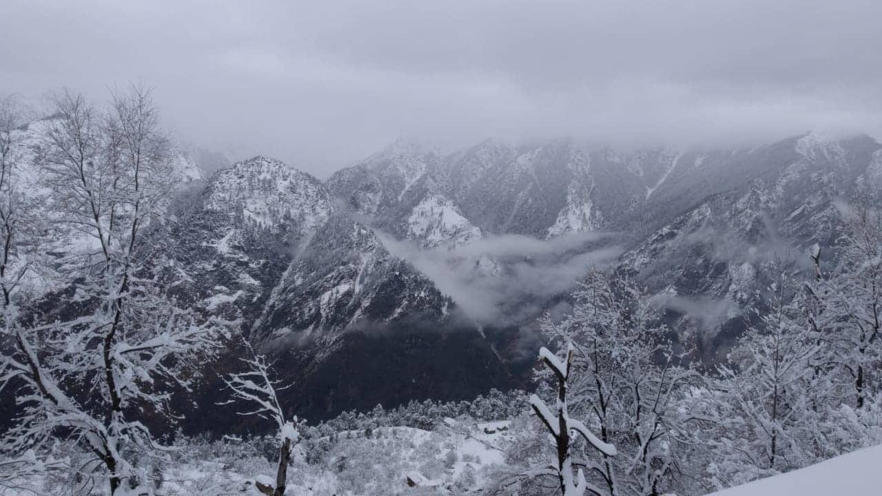 uttarakhand weather today: beautiful photos of snowfall in auli
