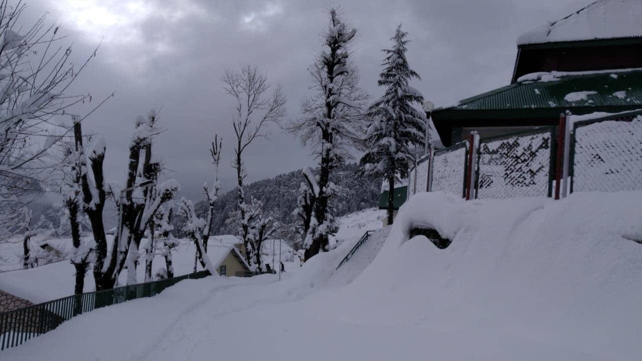 uttarakhand weather today: beautiful photos of snowfall in auli