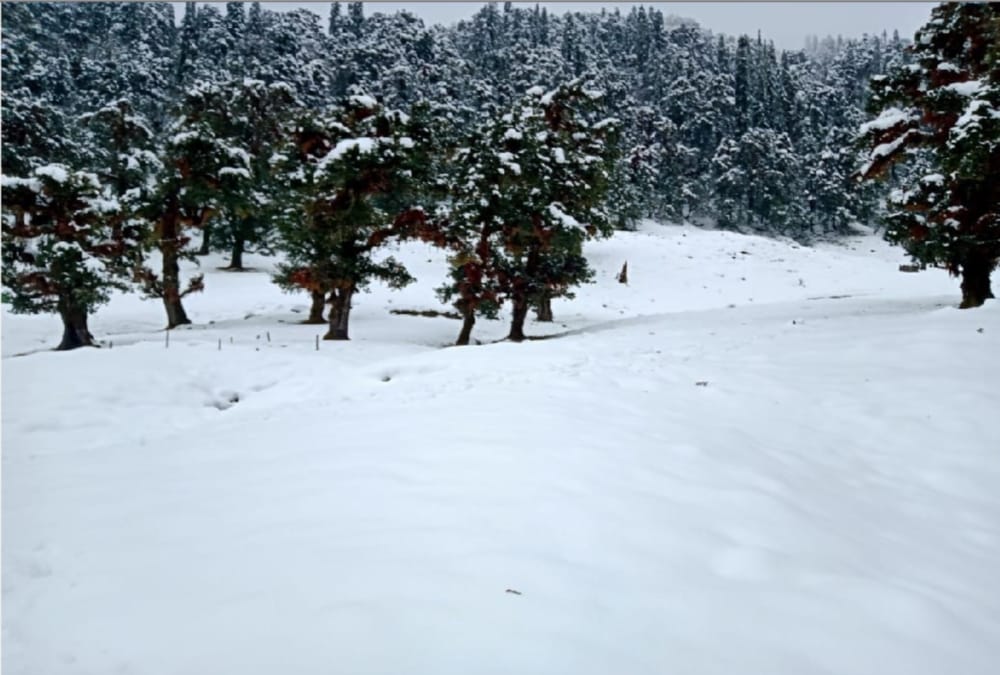 Snow Heavy Blanket Covered uttarakhand 650 villages today see Visuals