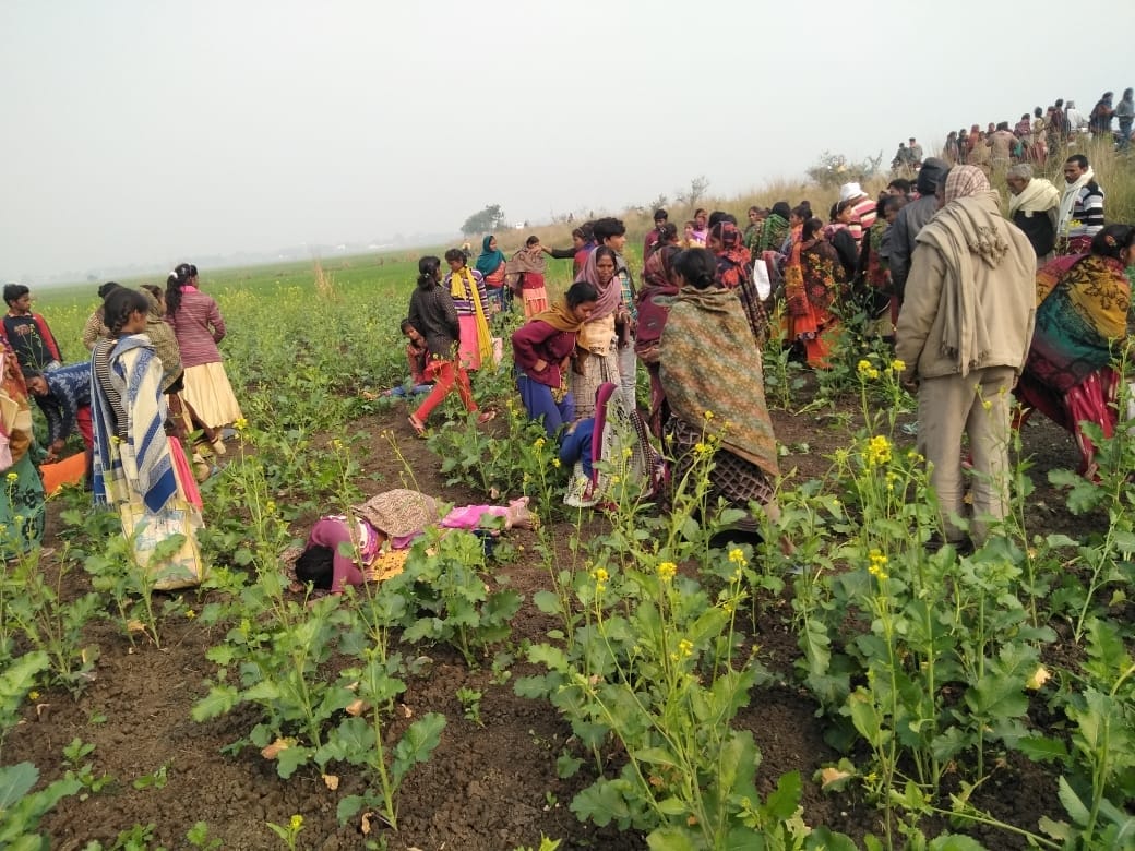 Pickup overturns due to steering failure, 14 women laborers injured