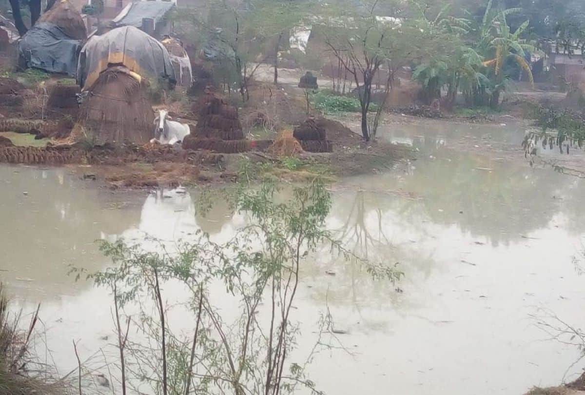 three thousand bigha crops submerged in mainpuri