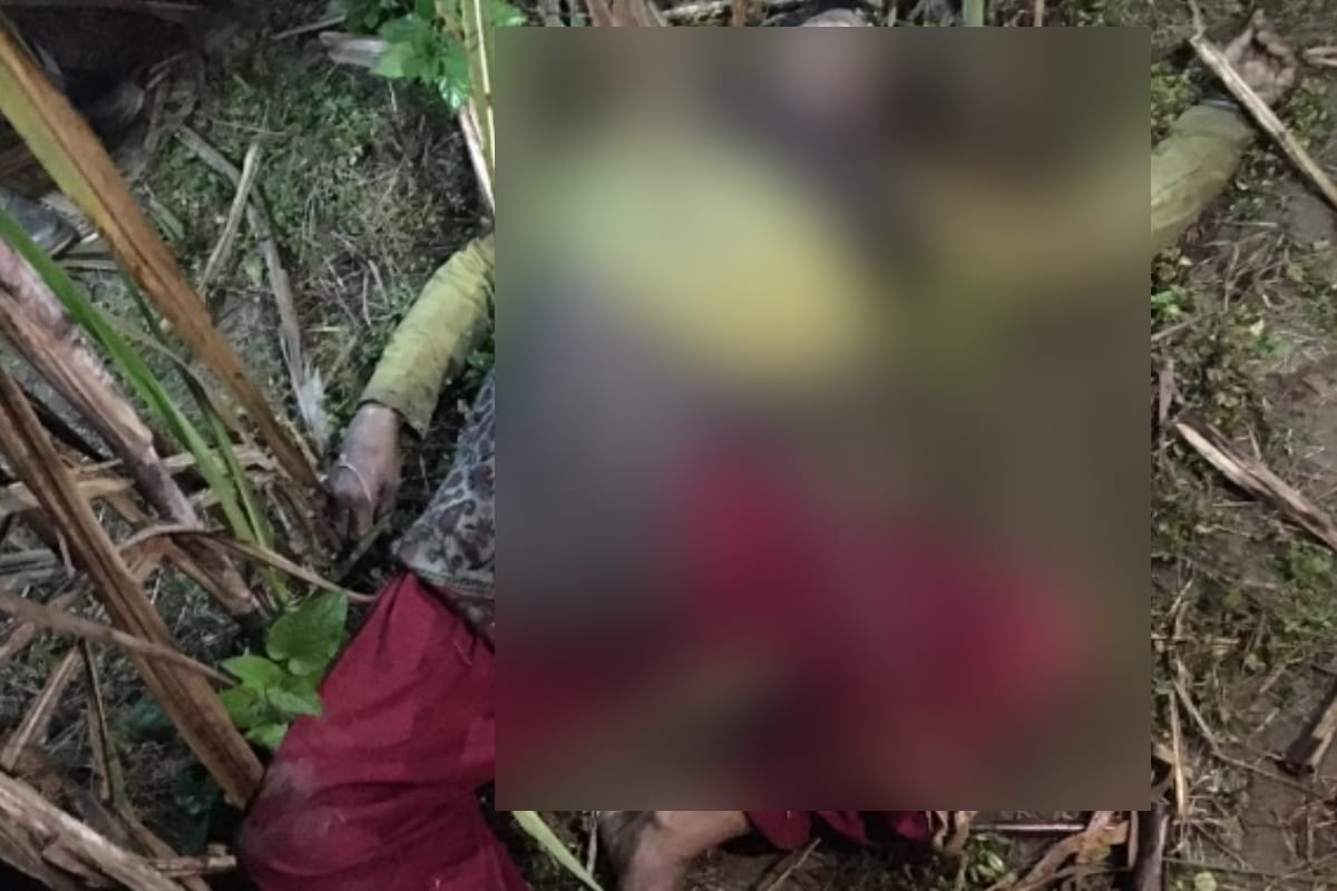 Meerut Woman murdered while she went to take feed to the animals