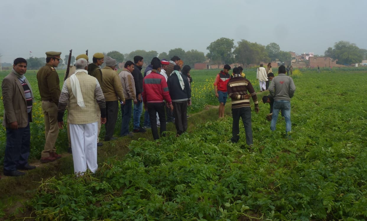 etawah formar