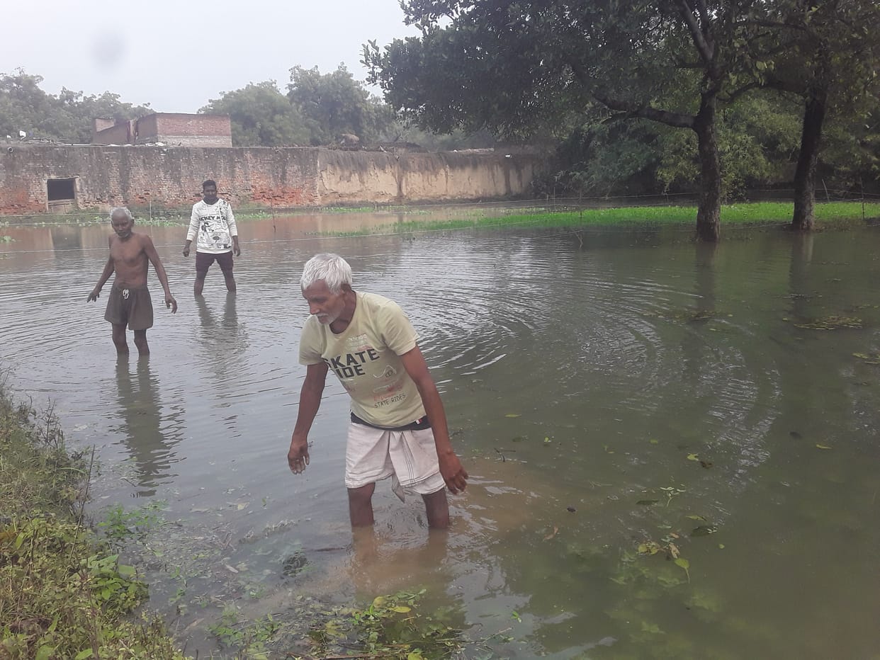 kanpur dehat canal crake