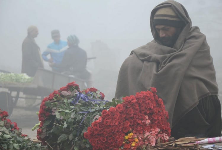 Haryana Weather Forecast, Rainfall, Chilling, Cold Day