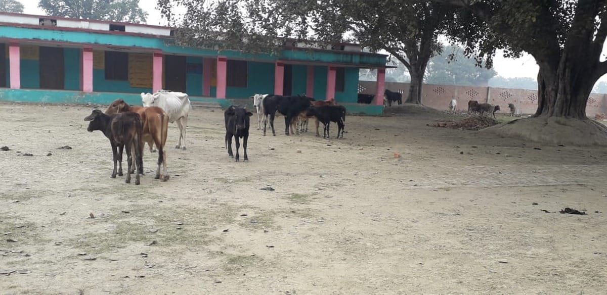 Farmers locked animals in school lalganj azamgarh