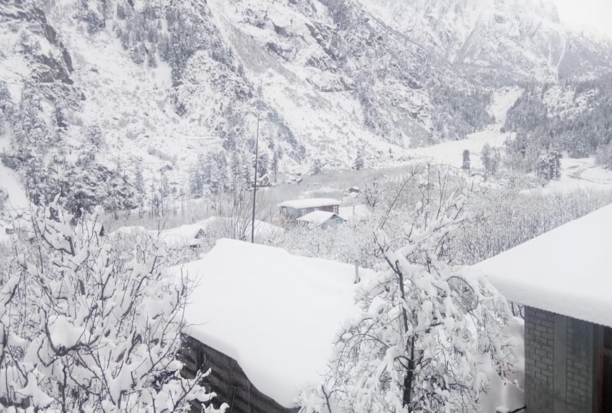 Himachal in cold wave, heavy snowfall on peaks, 186 roads blocked