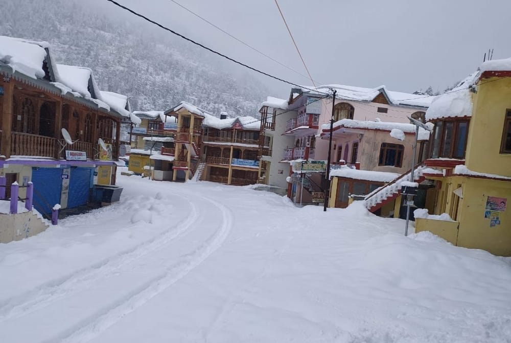 uttarakhand weather: hilly area covered with snow, people suffered from cold wave