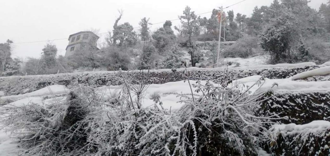 uttarakhand weather: hilly area covered with snow, people suffered from cold wave