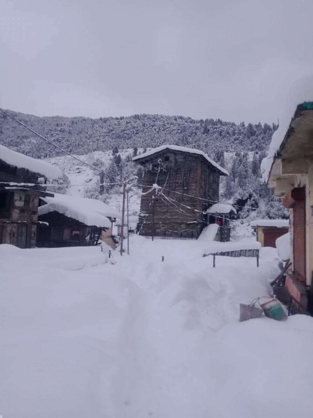 uttarakhand weather: hilly area covered with snow, people suffered from cold wave