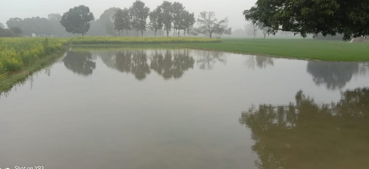 minor cut, crops dive in water