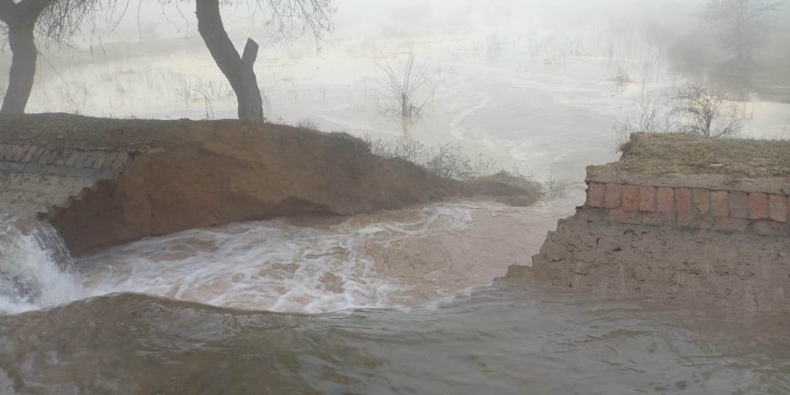 20-foot crack in Chandrawal Minor, Dozens of acres of wheat crop submerged, fatehabad