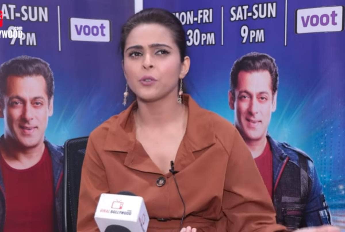 Vishal Madhurima Arhaan Koena Shefali Zariwala and Khesari May Not Be a Part Of Bigg Boss 13 Finale